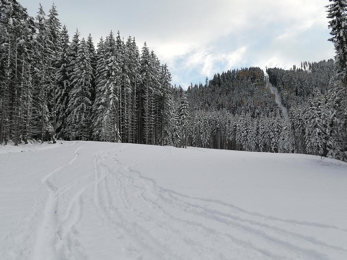 Ferienwohnung Mit Blick Auf Die Buchensteinwand Hochfilzen Zewnętrze zdjęcie